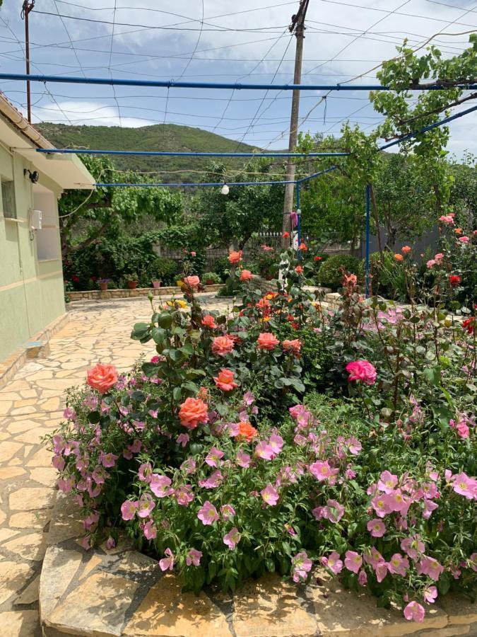 Vjosa Guest House Memaliaj Extérieur photo
